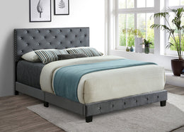 Bed Grey-IF 5650