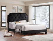 Bed Black-IF 5613