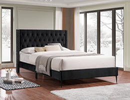 Bed Black-IF 5593