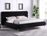 Bed Black-IF 5866