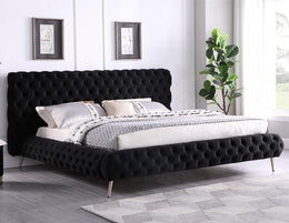 Bed Black-IF 5866